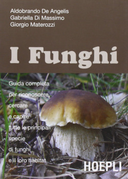 I funghi