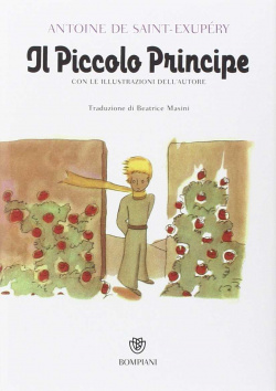 IL PICCOLO PRINCIPE