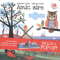 AMIC AIRE