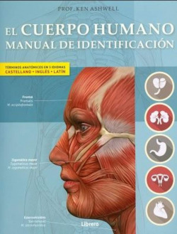 EL CUERPO HUMANO