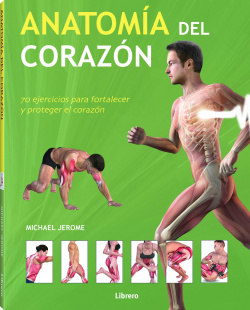ANATOMÍA DEL CORAZON