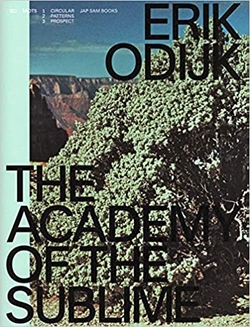 ERIK ODIJK