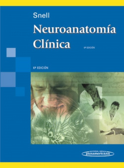 NEUROANATOMÍA CLÍNICA.