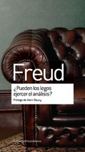 ¿PUEDEN LOS LEGOS EJERCER EL ANÁLISIS