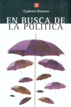 En busca de la política