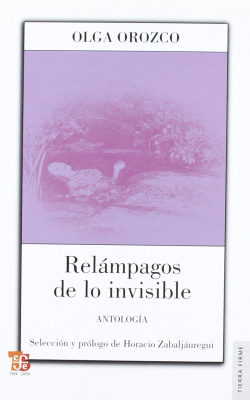 Relámpagos de lo invisible : Antología