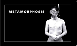 METAMORPHOSIS
