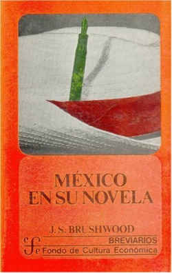 México en su novela : una nación en busca de su identidad