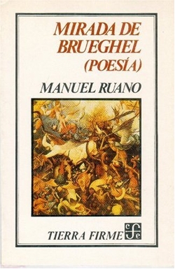 Mirada de Brueghel : poesía