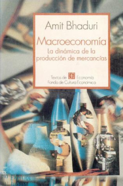 Macroeconomía : la dinámica de la producción de mercancías