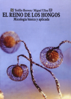 EL REINO DE LOS HONGOS