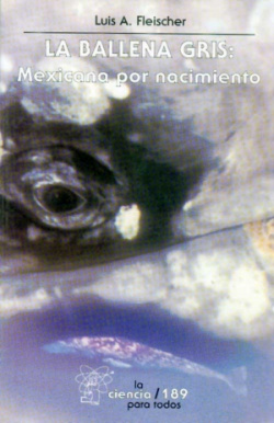 La ballena gris : mexicana por nacimiento