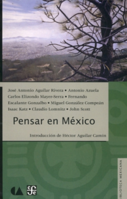 Pensar en México