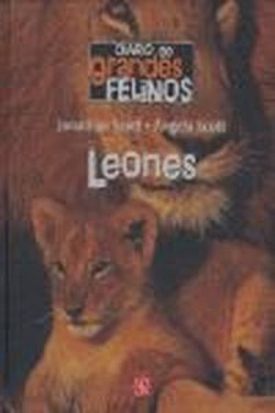 Diario de grandes felinos : Leones
