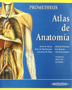 ANATOMIA CON ORIENTACION CLINICA