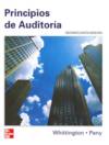 (14ª) principios de auditoria