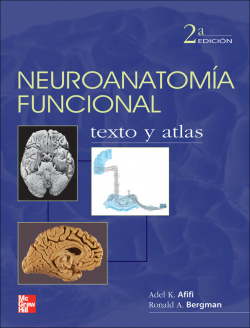 Neuroanatomia funcional