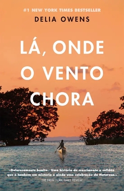 LÁ, ONDE O VENTO CHORA