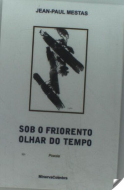 Sob o friorento olhar do tempo