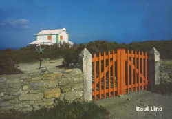 Raul Lino