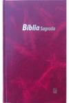 BIBLIA DN 53 - BORDÔ