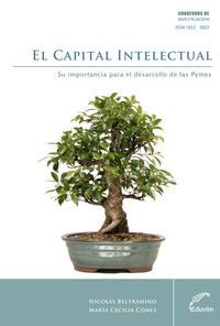 EL CAPITAL INTELECTUAL	SU IMPORTANCIA PARA EL DESARROLLO DE