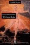 COMPAÑIA VISIONARIA: WORDSWORTH,