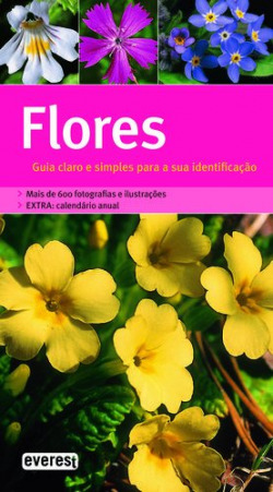 FLORES: GUIA CLARO E SIMPLES PARA A SUA IDENTIFICAÇÃO