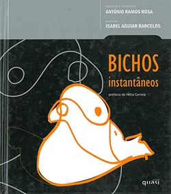 BICHOS INSTANTÂNEOS