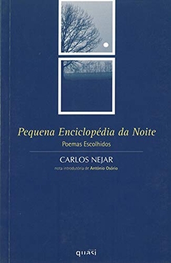 PEQUENA ENCICLOPÉDIA DA NOITE