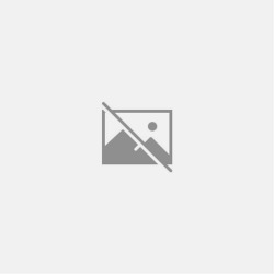 NÓTULAS HISTÓRICAS SOBRE OS PRIMEIROS TEMPOS DA ACADEMIA DAS CIÊNCIAS DE LISBOA