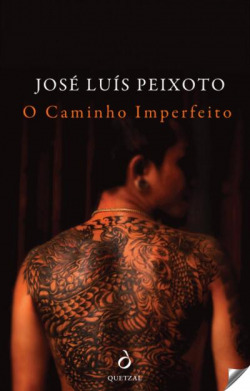 O CAMINHO IMPERFEITO