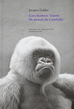 CARA SENHORA TOSONI OS POSTAIS DE CASABELLA