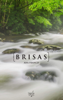 Brisas
