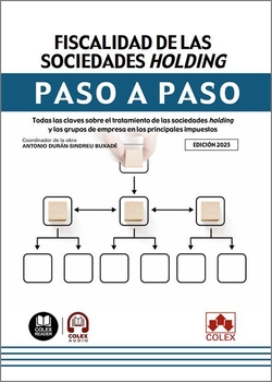 Fiscalidad de las sociedades holding. Paso a paso