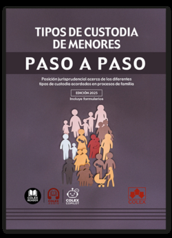 Tipos de custodia de menores. Paso a paso