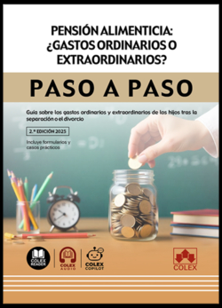 Pensión alimenticia: ¿gastos ordinarios o extraordinarios? Paso a paso