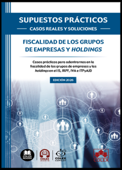 SUPUESTOS PRÁCTICOS: CASOS REALES Y SOLUCIONES - Fiscalidad de los grupos de empresas y holdings