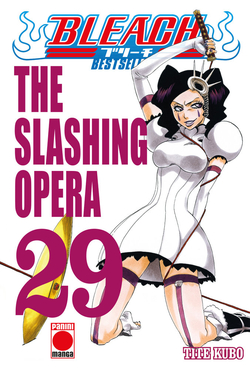 BLEACH BESTSELLER 29