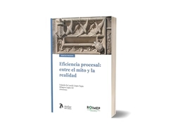 Eficiencia procesal: entre el mito y la realidad.