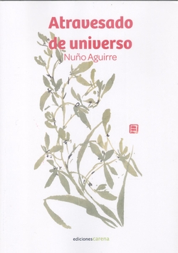 Atravesado de universo