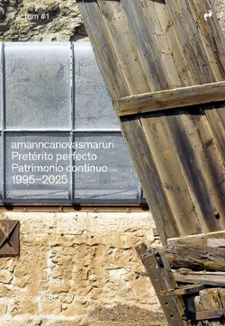Preterito perfecto:patrimonio continuo