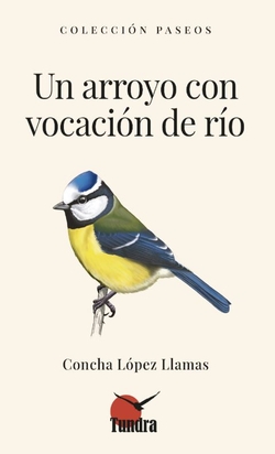 UN ARROYO CON VOCACIÓN DEL RÍO