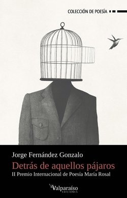 Detrás de aquellos pájaros