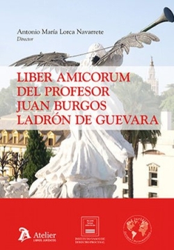 Liber amicorum profesor juan burgos ladron guevara