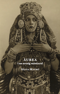 ÀUREA I UN ASSAIG MINÚSCUL