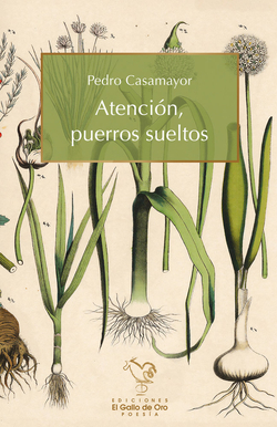 Atencin, puerros sueltos