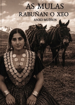 As mulas rabuñan o xeo