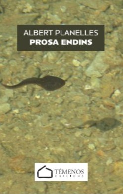 PROSA ENDINS